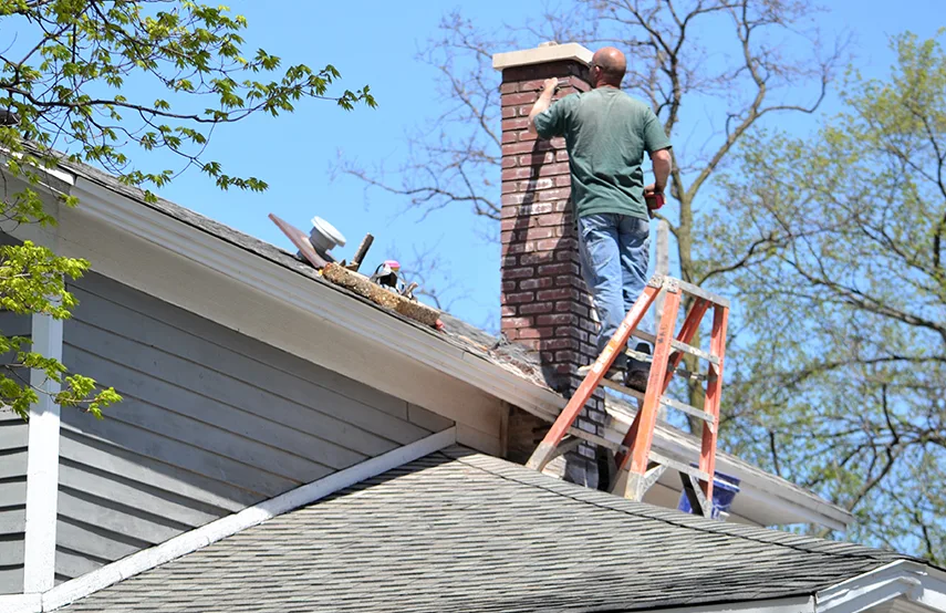 Chimney & Fireplace Inspections Services in Waltham, MA